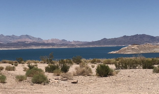 How Do I Catch Striped Bass At Lake Mead?