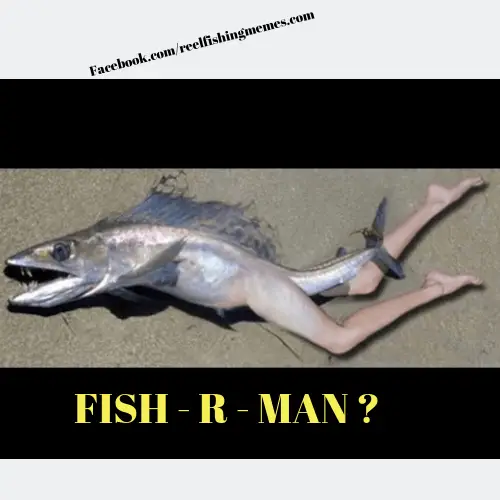 50 Fish Memes That Will Have You Reeling With Laughter