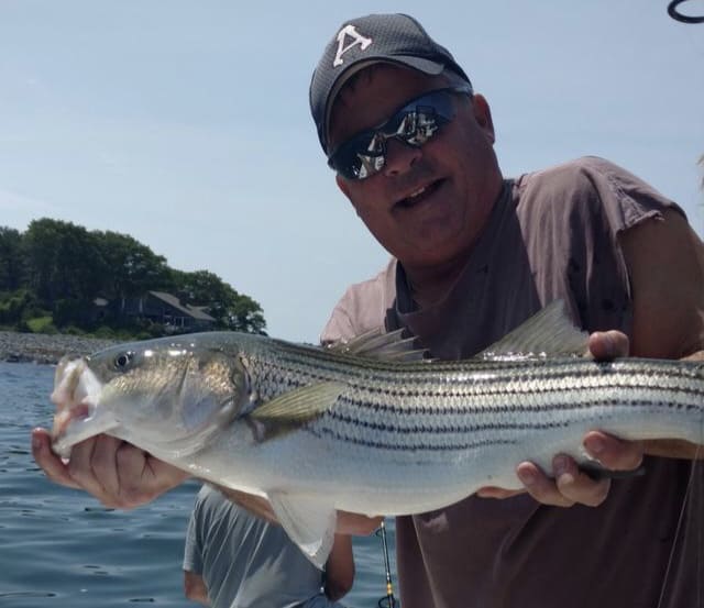 striper fly rod