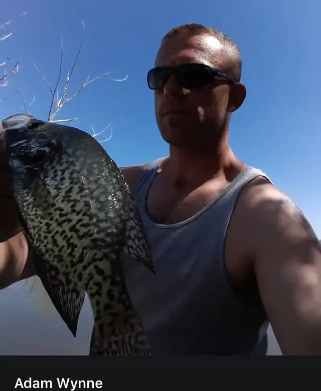 Jumping Crappie