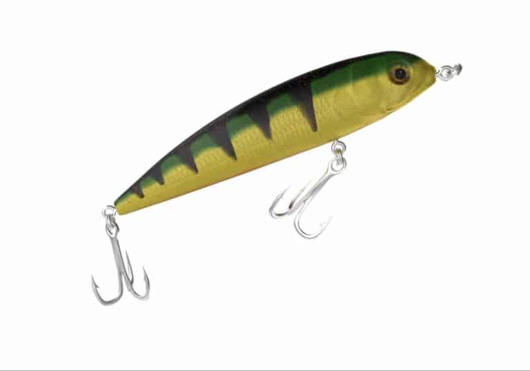 Top 25 Best Striped Bass Fishing Lures | Fishin Money- Fishing Tips