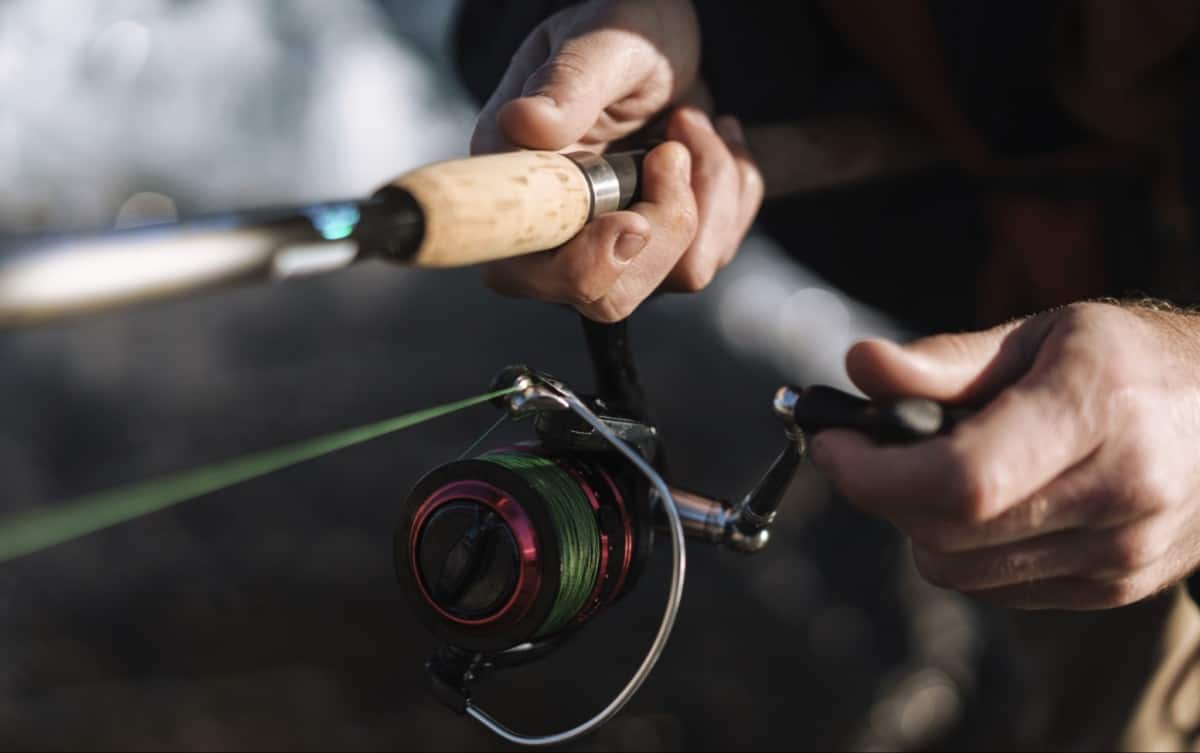 Free Fishing Day – What Is It?