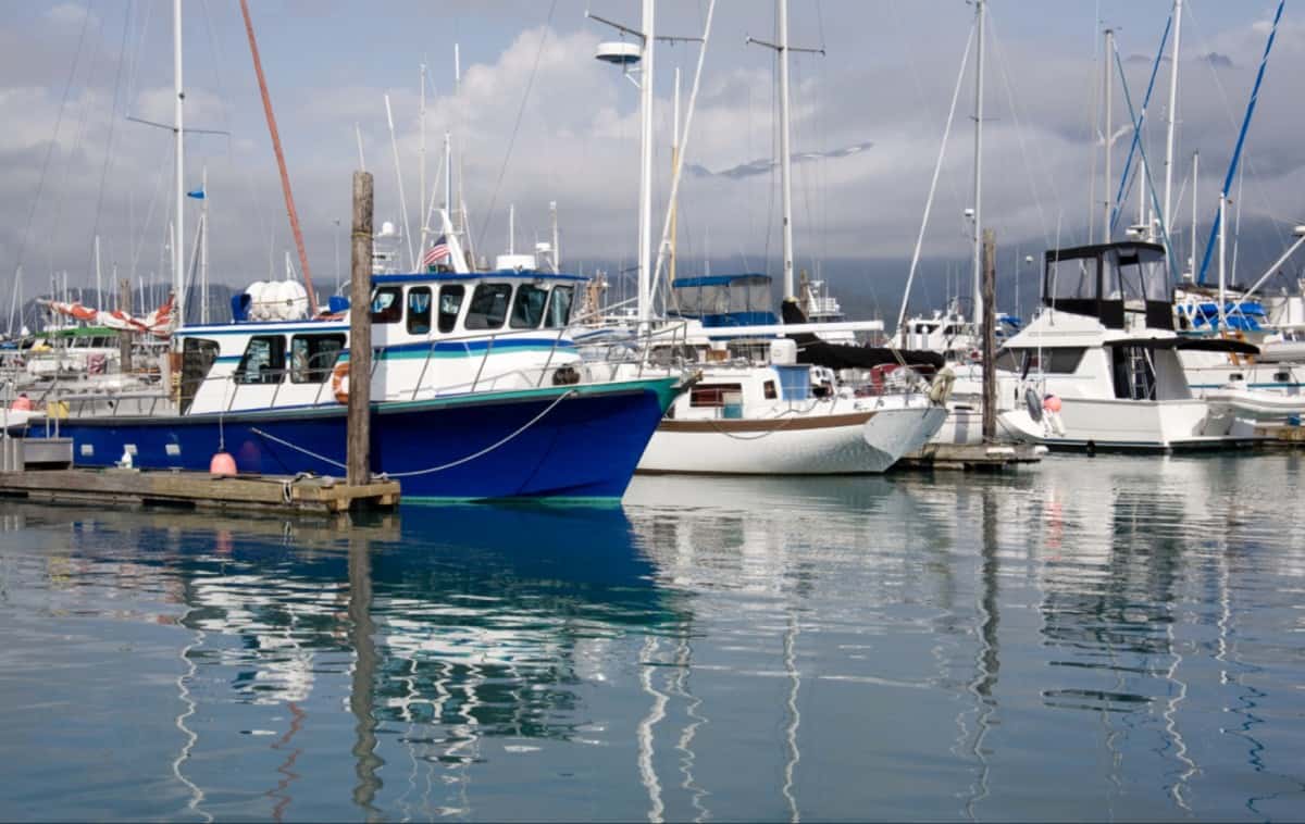 Top Fishing Charters In Southern California- Offshore