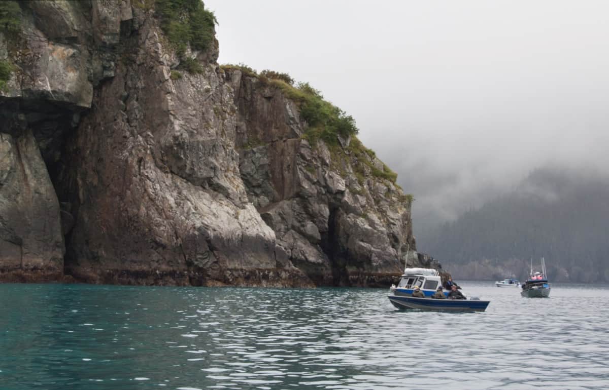 Does the Tide Affect Fishing?
