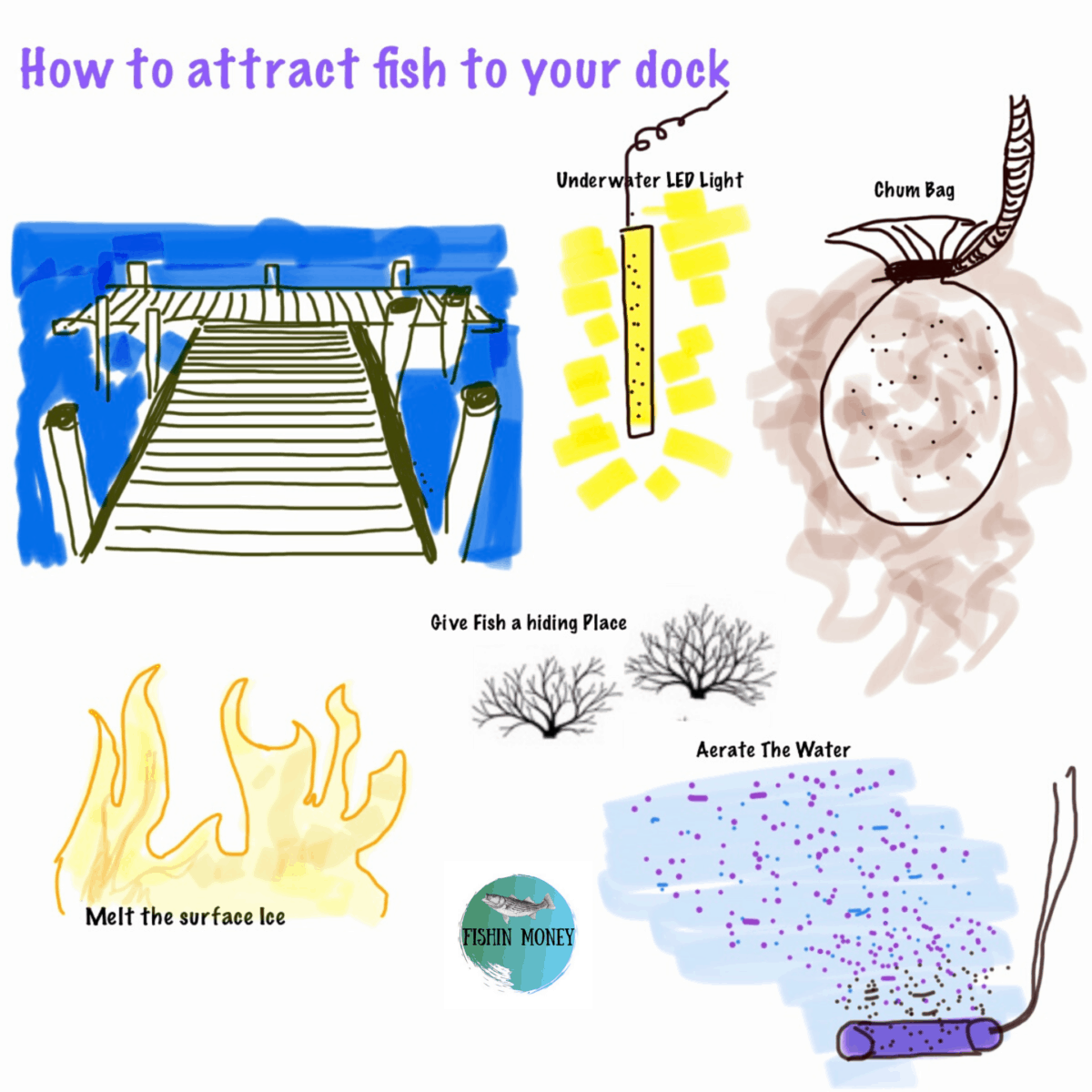 How Do I Attract Bait Fish To My Dock? – Fishin Money- Fishing Tips