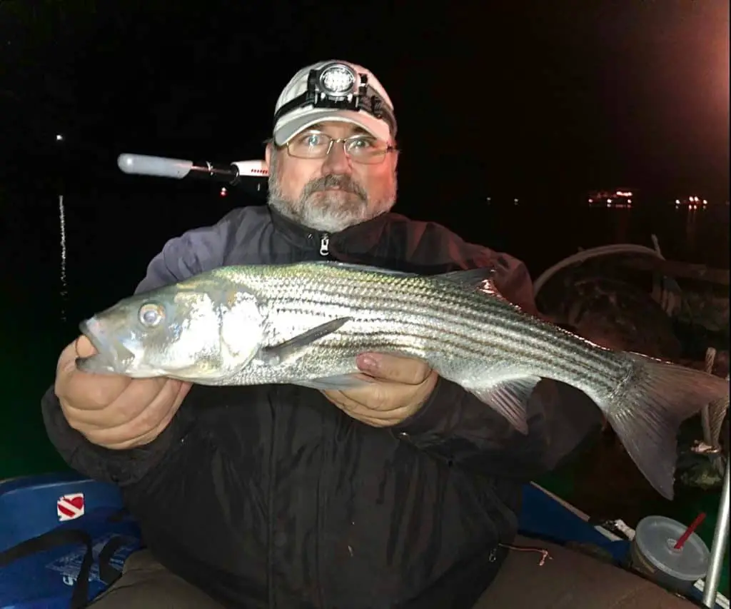 Striped Bass Gear