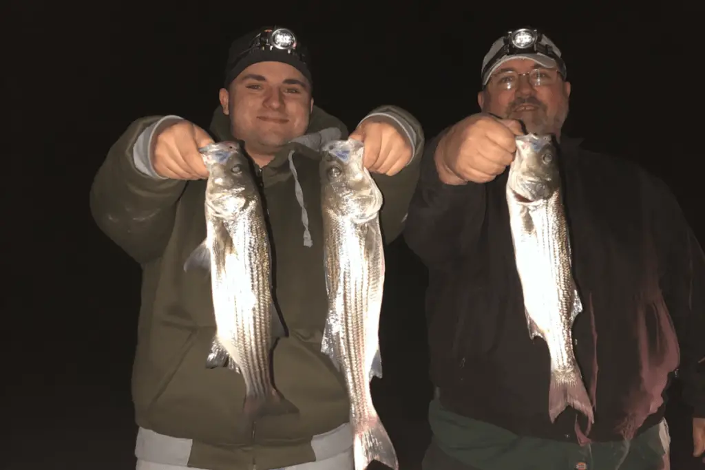 Hemmenway Harbor Stripers