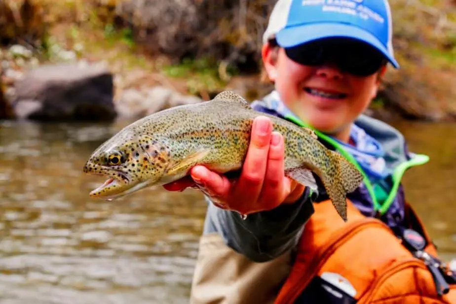 worms for trout bait