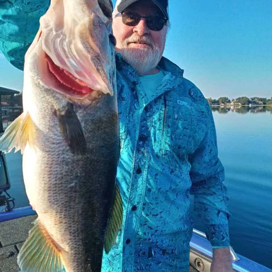 The Top 5 Bass Fishing Guides for Lake Kissimmee